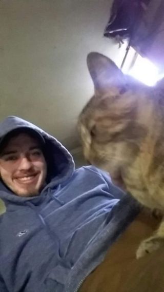 Animal Clinic Vets For Pets Colindale Vets For Pets Colindale