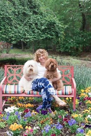 Dog, Cat Grooming in Asheville NC, Asheville Pet Grooming By