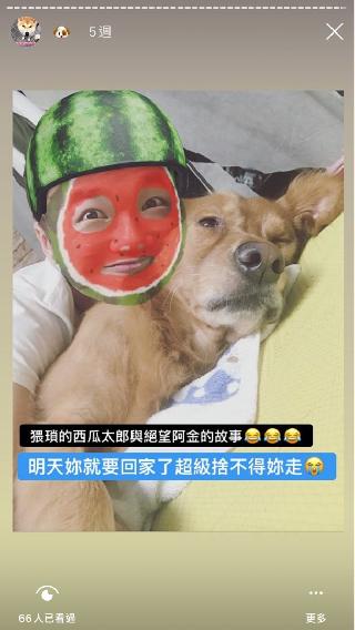 top rated pet boarding near me