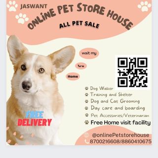 Pet Daycare in CP Connaught place N, New Delhi Ss Pet Day Care