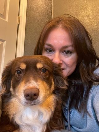 pet care sun prairie pet clinic