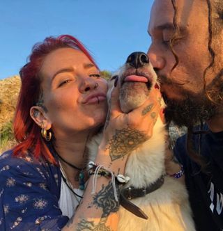 Pet Hotel Home Pet Boarding in Birkirkara Camp Canine Dog