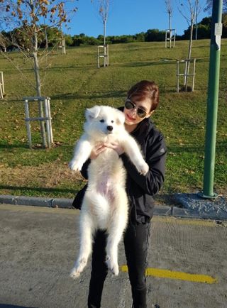 Pet Hotel Home Pet Boarding in Moritz, Switzerl, Lüsen Four