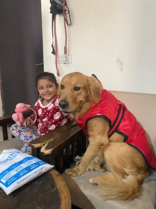 Pet Boarding Pet House Near Me Best Dog Boarding Places Near Me