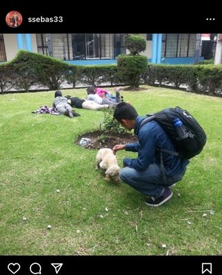 Sebastian, Pet Walker in Peligros