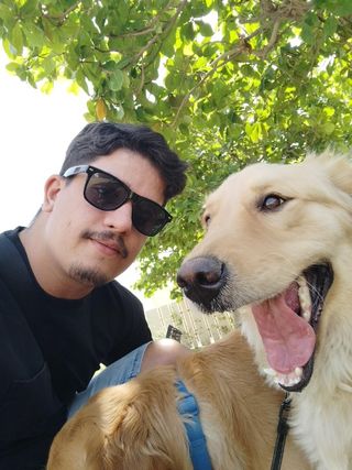 Pet Hotel Home Pet Boarding in Al Asayel Street, Dubai Douglas