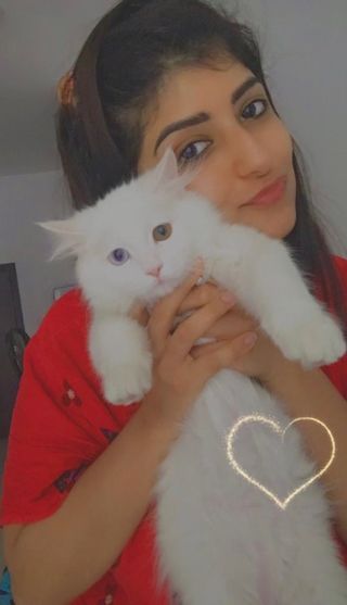 Nazia, Pet Boarder in Dubai