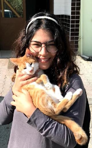 Mishal, Pet Boarder in İstanbul