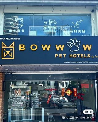 Cat Grooming Shop Bow Wow Wow Dog Grooming 345+ Dog Grooming