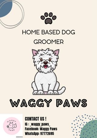 Pet Grooming in Pasir ris, tampines Pasir Ris Waggy Paws Pet
