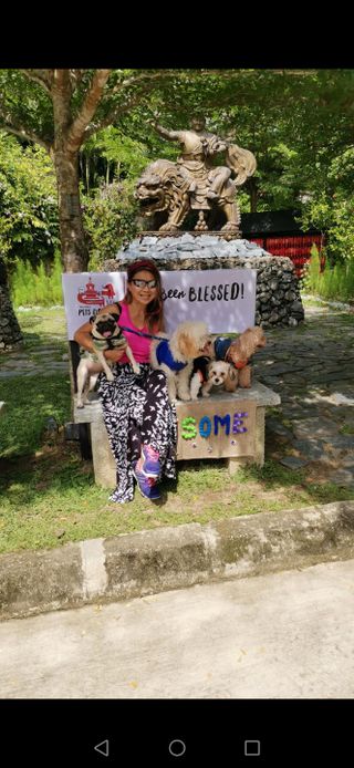 Rachael, Pet Sitter in KL