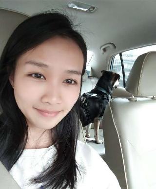 dog walking prices near me