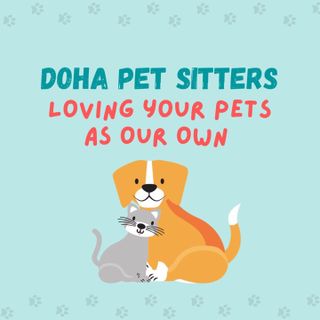 DohaPetSitters, Pet Sitter in Doha