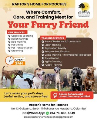 Pet Sitters Happier At Home Dog Walking Pet Hotel Home Pet Boarding In No  43 Baron Thilakan, Angoda