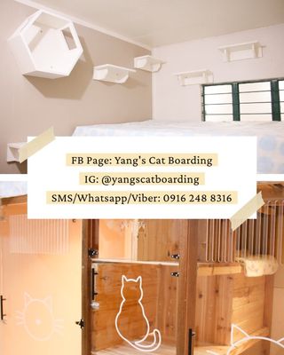 Cat Hotel Home Pet Boarding in Bacoor, Cavite, Bacoor Yang's Cat