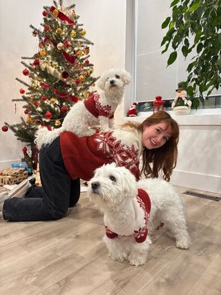 Pet Sitter in Old Montreal, Old Po, Montreal Morgane's Mtl Dog