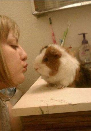 Pet Boarding in th Avenue Northwest, Shoreline Nikki's Pet