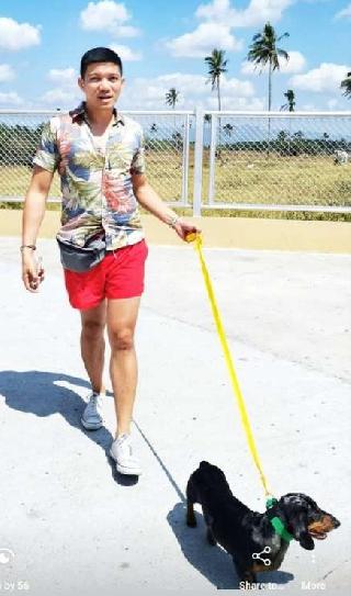 dog poop bags that attach to dog