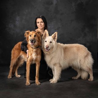 Pet Grooming in Longwood Trim Enfiel, Longwood Dog Grooming