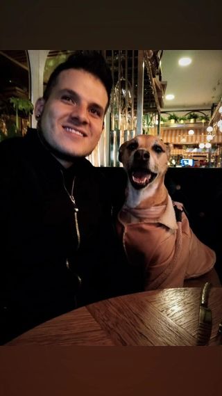 Pet Hotel Home Pet Boarding in bogotá Bogotá The Tammy