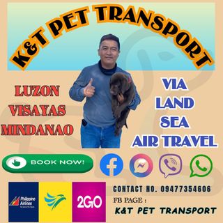 Manila Pet Transportation Company Near Me Pet Taxi Transport In