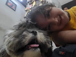 Pet Hotel Home Pet Boarding in Sg highway, Gota, Bo, Ahmedabad