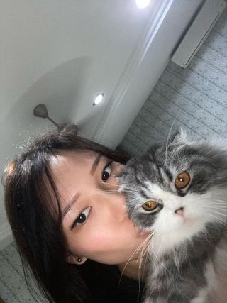 Pet Boarding in Wandsworth, City Of London Wandsworth Pet