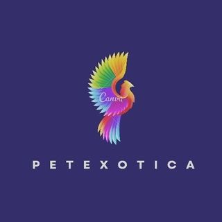 Pet Hotel Home Pet Boarding in Kolathur, Korattur, Chennai - Main Image