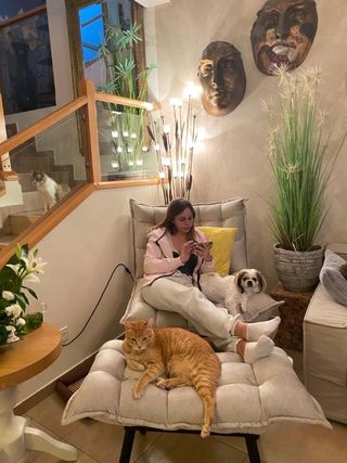 Cat River Valley Veterinary Clinic Pet Daycare In River Valley