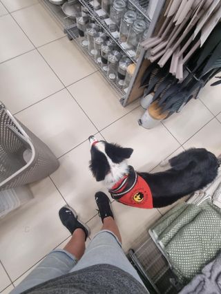 #