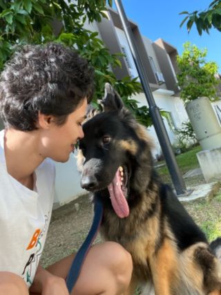 Pet Training in Johor Bahru Dog School PetBacker Johor