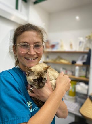 Boarding Companion Pet Vet Pet Hotel Home Pet Boarding In