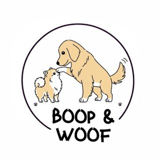 Pet Daycare in Central Kallang Boop Woof PetBacker Singapore