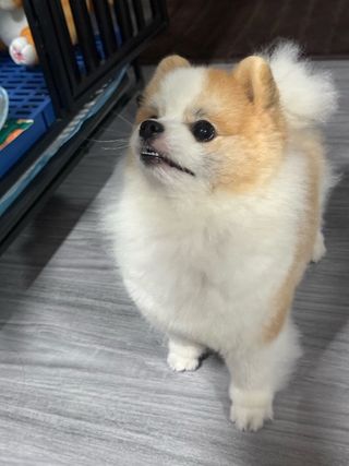 #