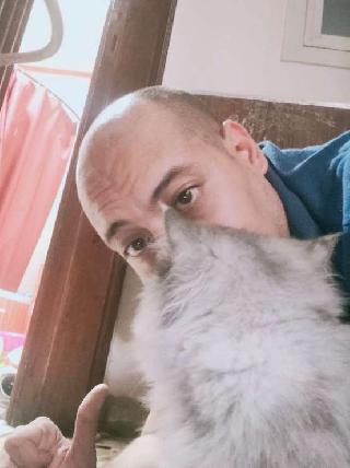 Pet Training in New Maadi Dog Training (Positive Owner