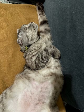 #