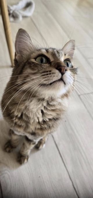 #