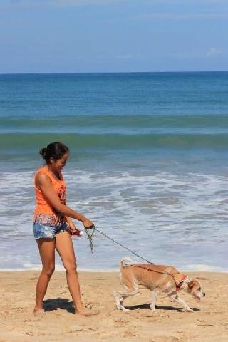Tasha, Pet Sitter in Kecamatan Denpasar Selatan