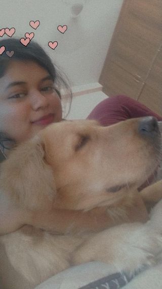 Pet Hotel Home Pet Boarding in Hoodi, Whitefield Bengaluru