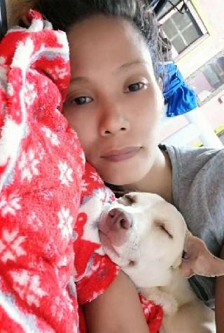 in home pet boarding near me