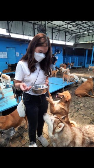 Vania, Pet Walker in Kota Bandung