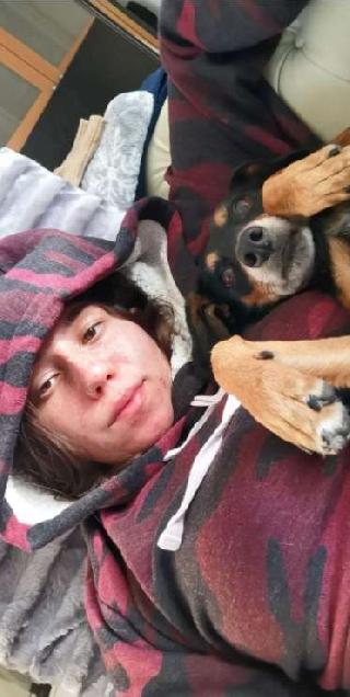 Pet Taxi Transport in Pindou, Egkomi Anna's Taxi PetBacker Nicosia