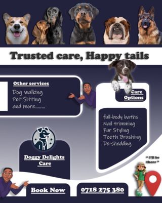 Pet Grooming Dog Walking Services In My Area Dog Grooming And Dog