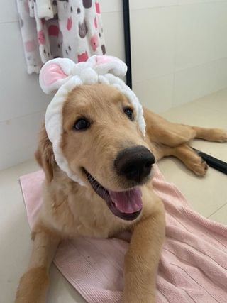 #