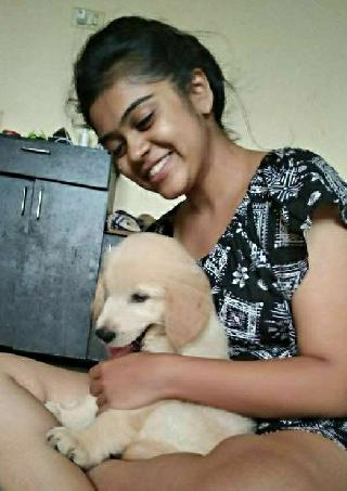 licensed and bonded pet sitters near me