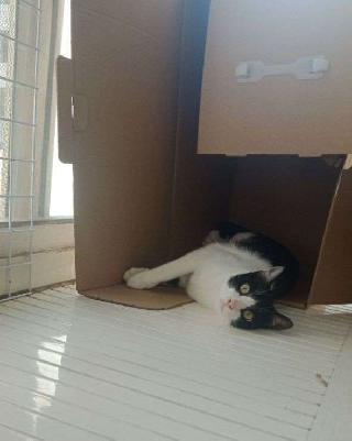 Claudia的1日陪伴