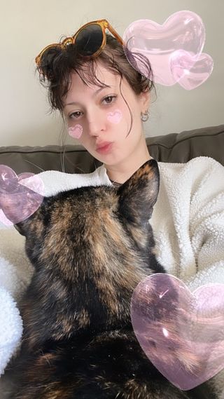 Pet Boarding in Pimpama Gold Coast Pimpama Dog Boarding