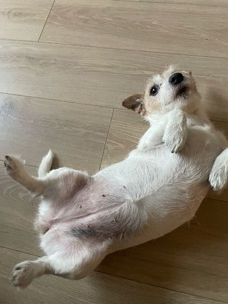 #