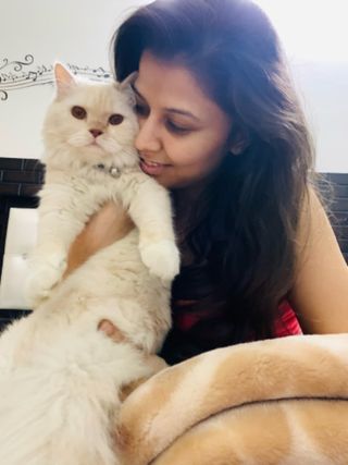 Pet Hotel Home Pet Boarding in Noida, Gr Noida, GHz, Gaur City