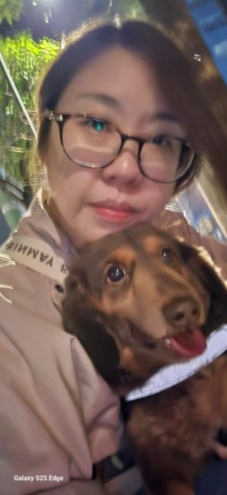 狗狗散步 屯天元 港鐵荃灣線